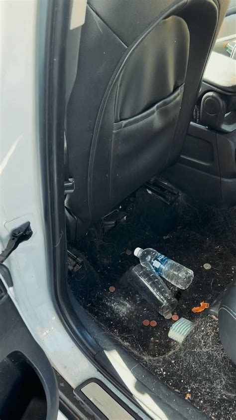 Best 13 Ultimate Guide to Steam Cleaning Your Car Interior: Master the Art of Deep Cleaning like ...