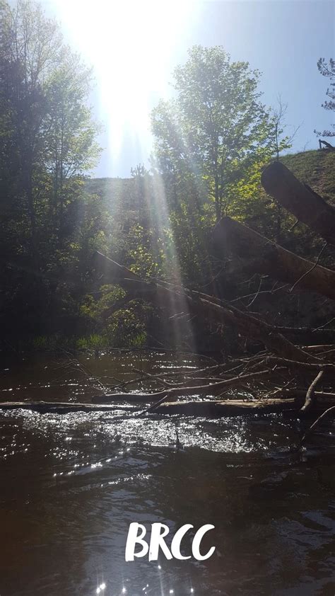 Betsie River Canoes and Campground - Canoe/Kayak Rentals, Camping