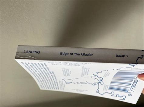 VDA meninių tyrimų žurnalo „Landing“ pirmojo numerio „Edge of the ...