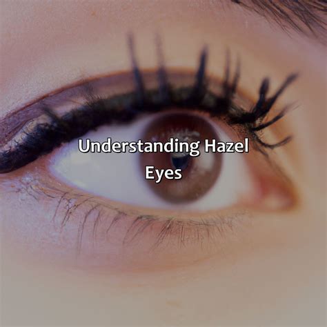What Color Eyeliner For Hazel Eyes - colorscombo.com
