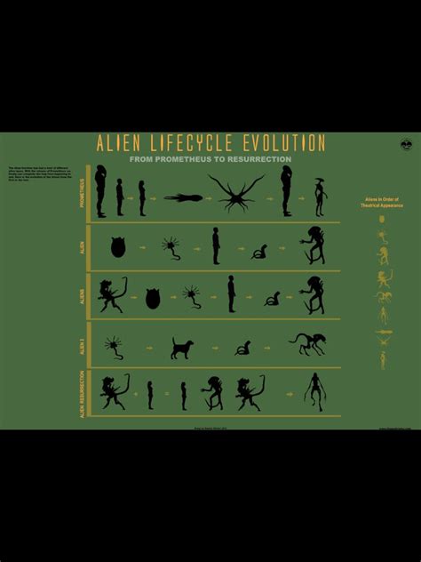 Image result for Alien Evolution History