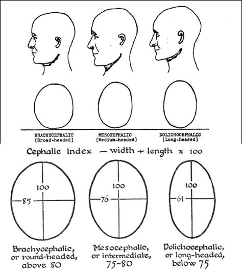 Image result for Identity Conditional or Inconsistent Examples