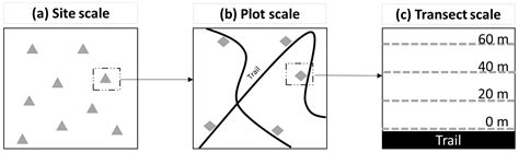Multi-Scale Clustering of Lyme Disease Risk at the Expanding Leading ...