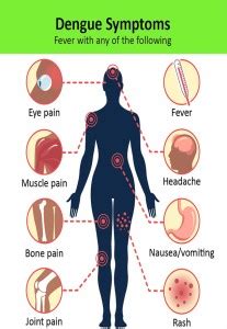 Emo 45.72 cm Dengue fever sign symptoms chart wall poster sticker for ...