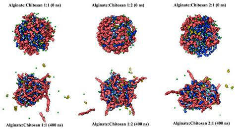 The Controlled Release of Abscisic Acid (ABA) Utilizing Alginate ...