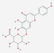 Image result for Breviscapine