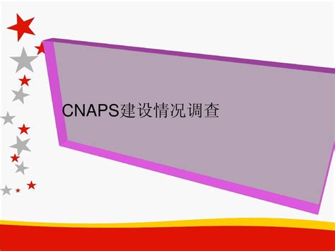 CNAPS建设情况调查_word文档在线阅读与下载_无忧文档