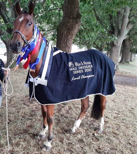 Gisborne DARC Dressage Day 2025 (Day 3 of the MAD Dressage Series), Ir ...