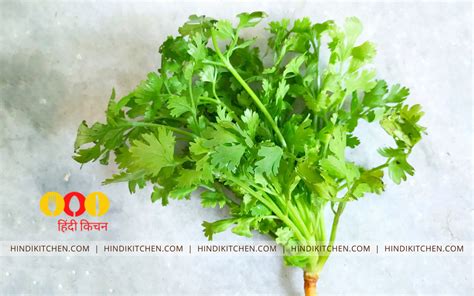 धनिया पत्ता से कितने सारे आपको फायदे मिल सकते हैं, यह पोस्ट पढ़कर आप ...