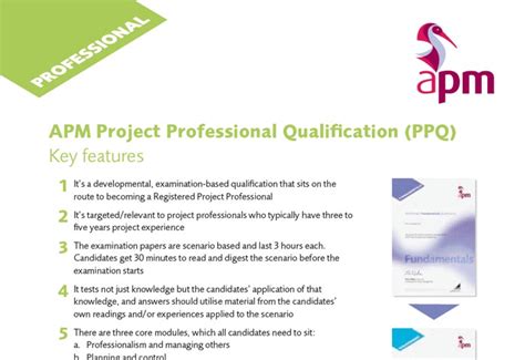 Image result for APM Application Project Experience Template