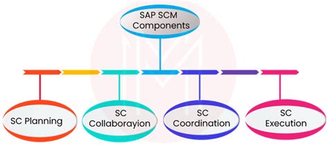 SAP SCM Tutorial 的图像结果