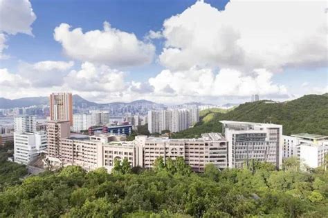 国际学校申请香港大学条件（国际学校报考香港大学）-港智优国际教育
