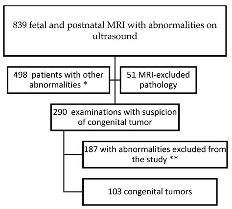 Congenital Tumors—Magnetic Resonance Imaging Findings with Focus on ...