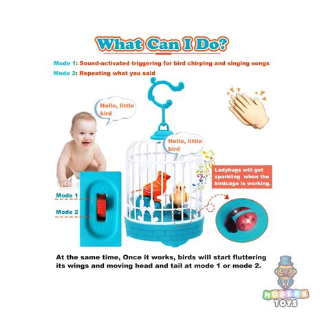 TALKING BIRD – Modern Toys