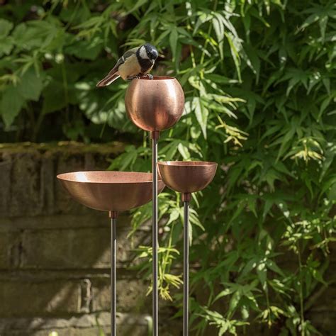 Buy Copper bowl on stainless steel stake: Delivery by Waitrose Garden