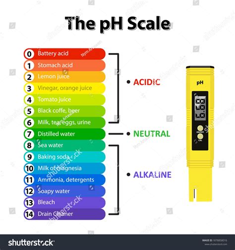 Battery Acid Ph