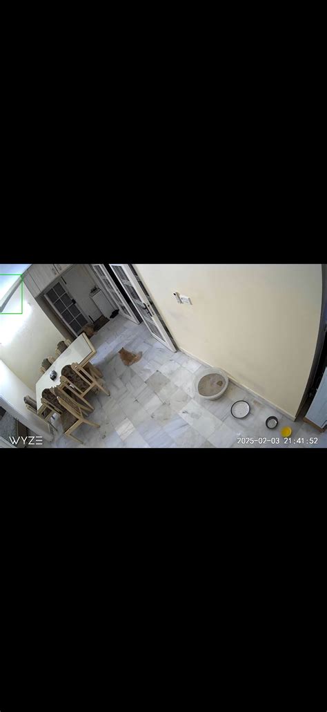 Wyze Cam Pan v3 stucking at ceiling Fan - Cameras - Wyze Forum