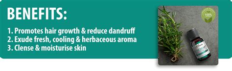 Buy Satthwa Rosemary Essential Oil (15ml) Online at Low Prices in India ...