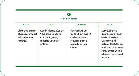 Geographical Indications