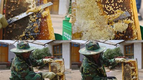 云岭蜜蜂养殖场 - 知乎
