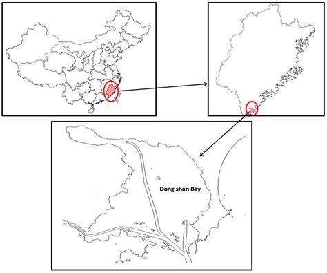 Assessment of Ecological Vulnerability under Oil Spill Stress