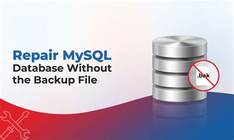 Image result for File Database MySQL