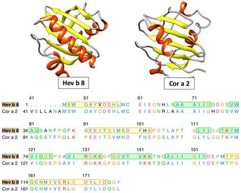 Heat-Stable Hazelnut Profilin: Molecular Dynamics Simulations and ...