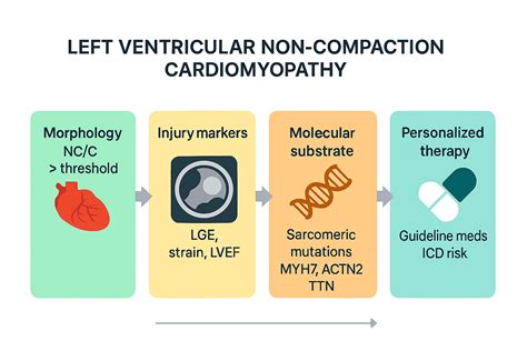 Left Ventricular Non-Compaction Cardiomyopathy: A Review of the ...