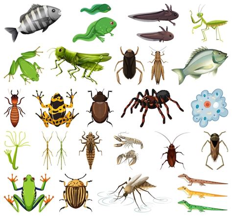 Verschillende soorten insecten en dieren op witte achtergrond | Gratis ...