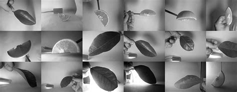 Image result for Photoshop Compositing Tutorial