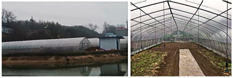 Experimental Study on Biomass Heating System in the Greenhouse: A Case ...