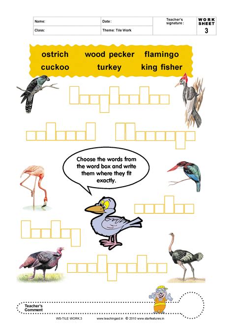 Free Basic Concepts Worksheets