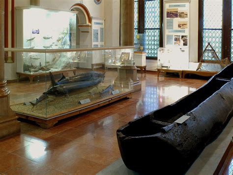 The history of fishing in Hungary | Meer