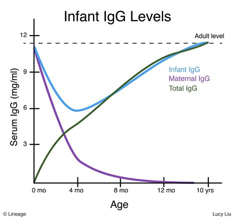 Normal Iga Levels By Age