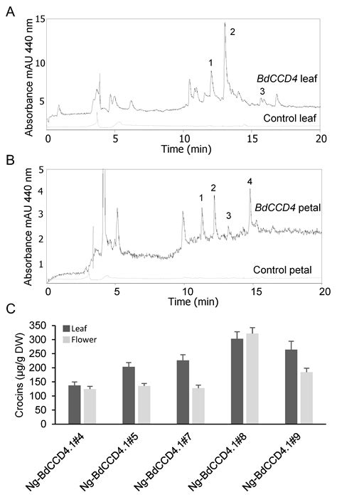 The Biosynthesis of Non-Endogenous Apocarotenoids in Transgenic ...
