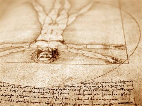 The Golden Ratio in Human Beings | Healthy Living