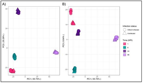 Vesicular Stomatitis Virus Elicits Early Transcriptome Response in ...