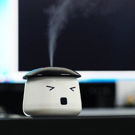 Image result for How to Use a Humidifier USB