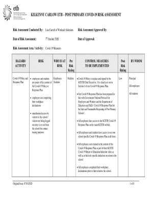 Fillable Online Risk Assessment Prompt Sheet - Health Service Executive ...