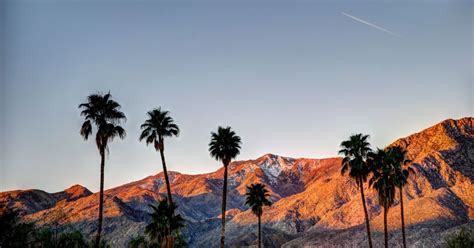 Palm Spring Weather.com 的图像结果