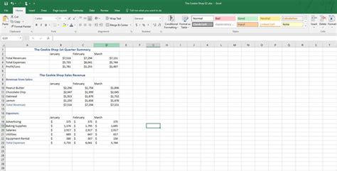 Image result for Is Excel a Software Program