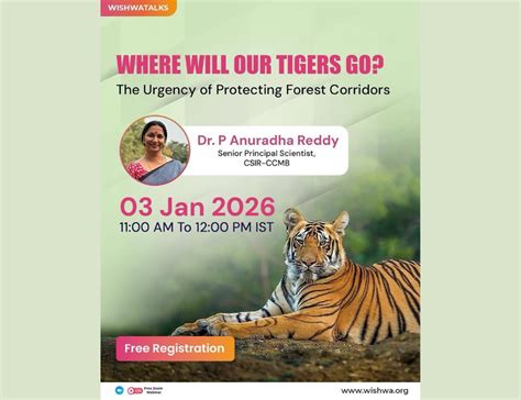For India's tigers, true success means staying wild, CCMB scientist