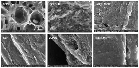 Transcutaneous Drug Delivery Systems Based on Collagen/Polyurethane ...