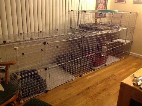 Pin de Lisa Barton em Rabbit cage | Casinha de coelho, Coelhos, Cercados