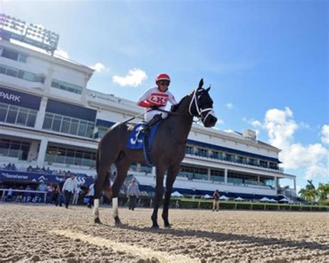 Shisospicy on Standby, Bentornato on Track for Dubai - BloodHorse