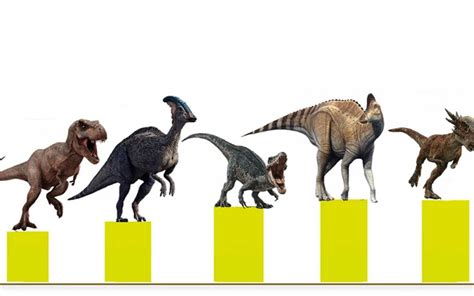 恐龙的寿命一般多长？各种恐龙寿命时间表_哔哩哔哩_bilibili