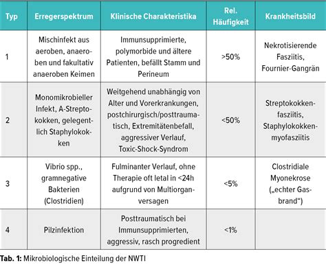 Update nekrotisierende Weichteilinfekte - Dermatologie - Universimed ...