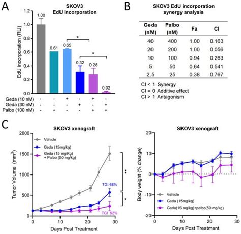 Functional Assessments of Gynecologic Cancer Models Highlight ...