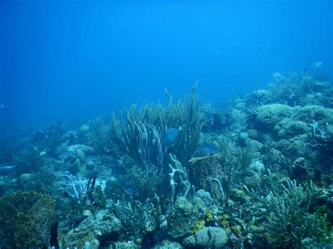 DEVIL'S TABLE (2026) All You Need to Know BEFORE You Go (with Photos ...