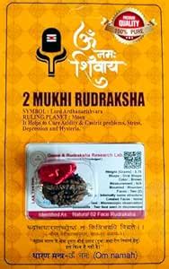 Buy Robinec 2 Mukhi Super Quality Nepali Rudraksha Two Faced Rudraksh ...